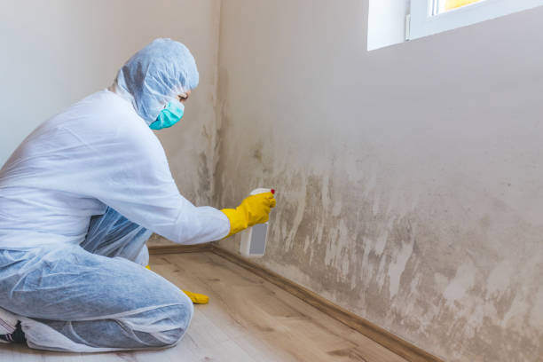Crawl Space Mold Remediation treatment of floor joists in Upperco