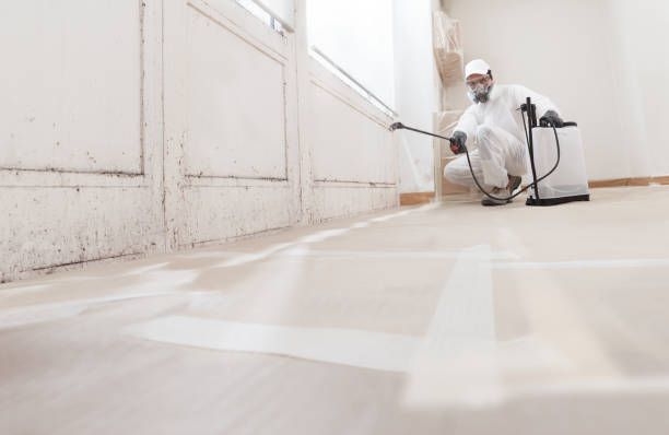 Black mold remediation team in Upperco